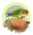 Корма