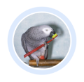 Средства гигиены