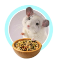 Корма
